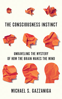 Consciousness Instinct, The