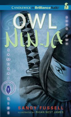 Samurai Kids #2: Owl Ninja