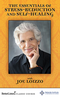 Essentials of Stress-Reduction and Self-Healing, The