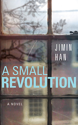 Small Revolution, A