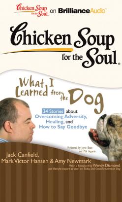 Chicken Soup for the Soul: What I Learned from the Dog - 34 Stories about Overcoming Adversity, Healing, and How to Say Goodbye