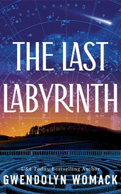 Last Labyrinth, The