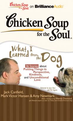 Chicken Soup for the Soul: What I Learned from the Dog - 36 Stories about Putting Things in Perspective, Kindness, and Unconditional Love